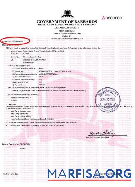 Realistic Barbados vehicle registration certificate example